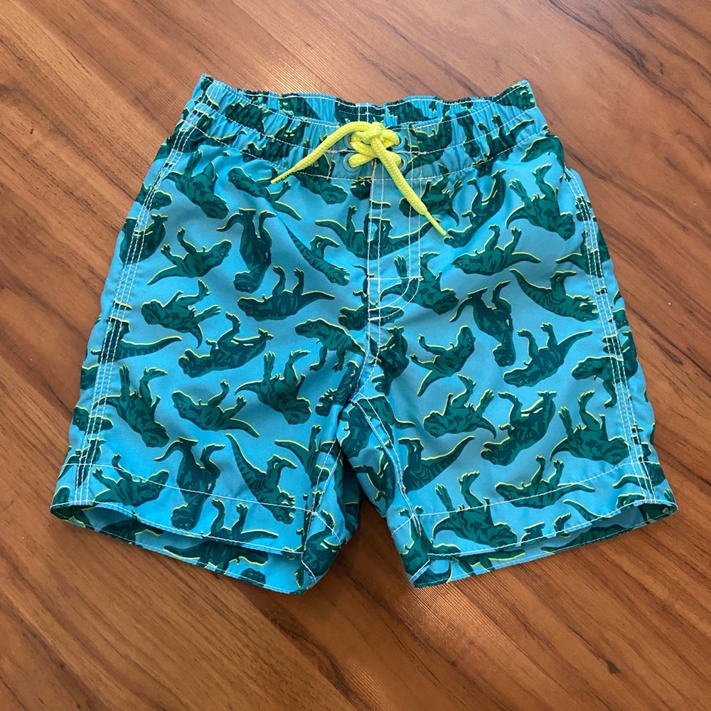 Baby Gap Dinosaur Swim Trunks